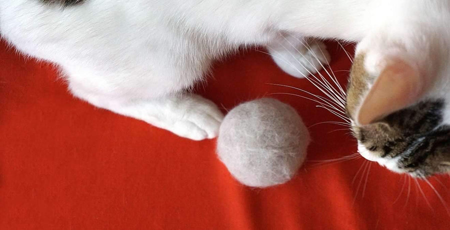 What Causes Hairballs in Cats?