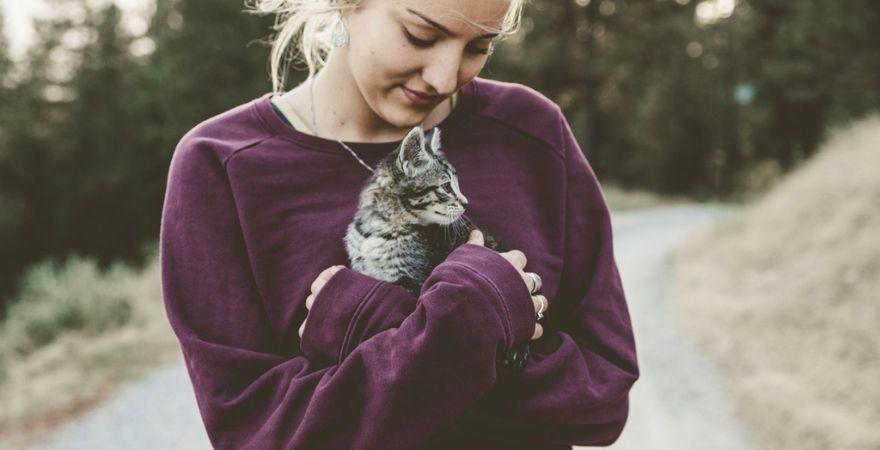 How to Give a Cat a Pill? 5 Methods That Will Work