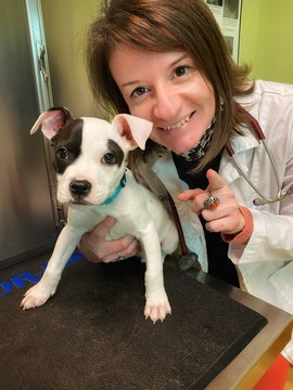 Image of Dr Carla Rodrigues DVM