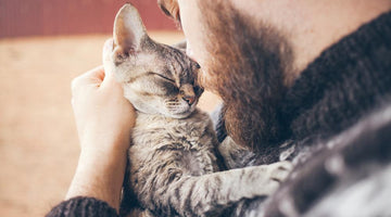 Watch Out For - Knowing When To Say Goodbye To Your Cat