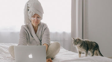 How to Work from Home with your Cat for Company