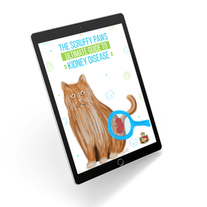 The Scruffy Paws Guide To Kidney Disease (eBook) Scruffy Paws Nutrition 